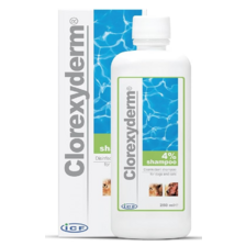 CLOREXYDERM 4% šampón 250ml